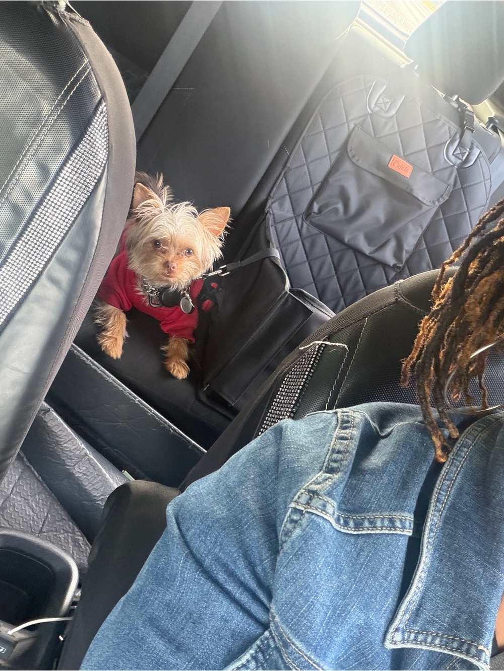 Dog Car Seat Protector Cover - Black